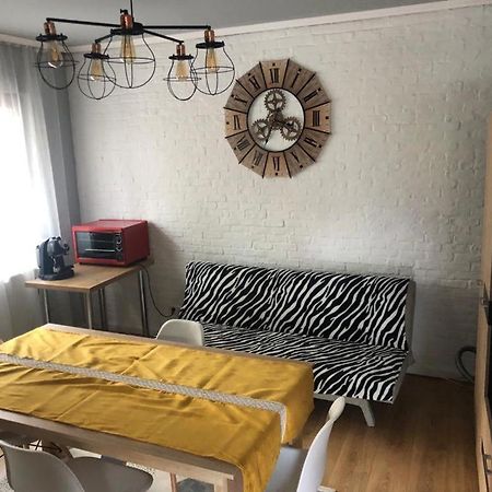Apartament Dorobanti Apartment Cluj-Napoca Ngoại thất bức ảnh